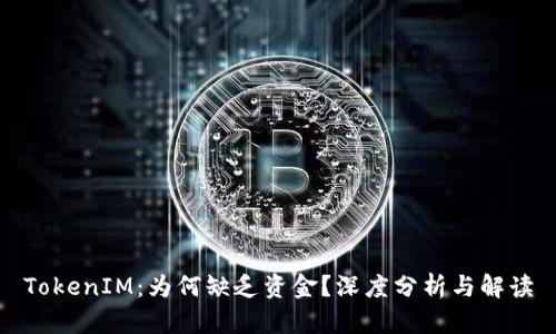 TokenIM：为何缺乏资金？深度分析与解读