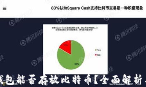 
以太钱包能否存放比特币？全面解析与比较