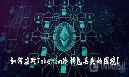 如何应对Tokenim冷钱包丢失的困境？