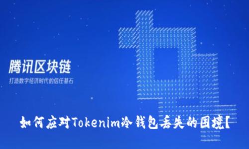 如何应对Tokenim冷钱包丢失的困境？