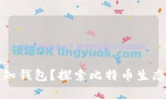 什么是比特币未知钱包？