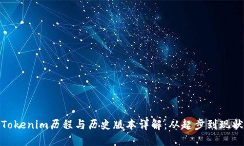 Tokenim历程与历史版本详解：从起步到现状