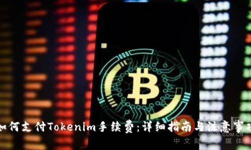 如何支付Tokenim手续费：详细指南与注意事项