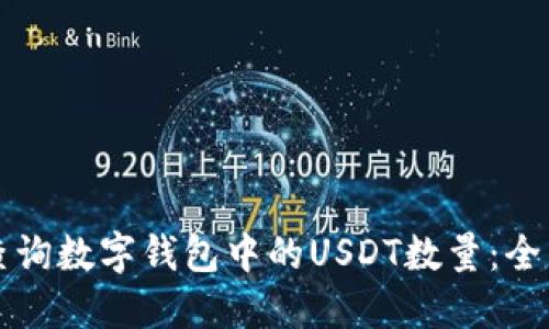 如何查询数字钱包中的USDT数量：全面指南