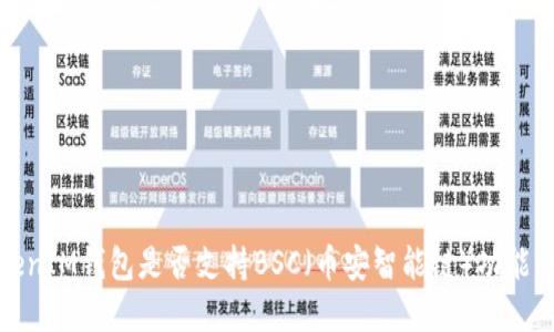 TokenIM钱包是否支持BSC（币安智能链）功能详解