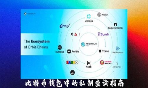 
比特币钱包中的私钥查询指南