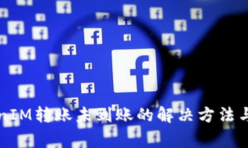 苹果TokenIM转账未到账的解决方法与注意事项