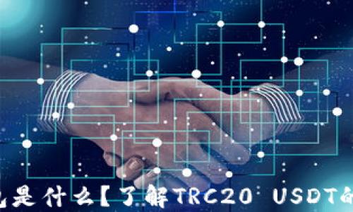 
TRC20 USDT钱包是什么？了解TRC20 USDT的基本概念与使用