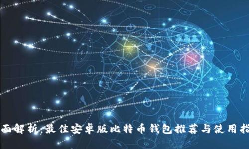 全面解析：最佳安卓版比特币钱包推荐与使用指南