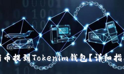 如何将猪币提到Tokenim钱包？详细指南与步骤
