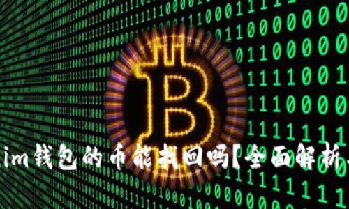 别人Tokenim钱包的币能找回吗？全面解析与解决方案