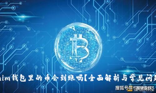 Tokenim钱包里的币会到账吗？全面解析与常见问题解答