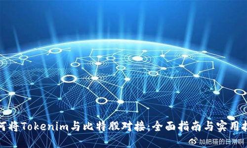 如何将Tokenim与比特股对接：全面指南与实用技巧