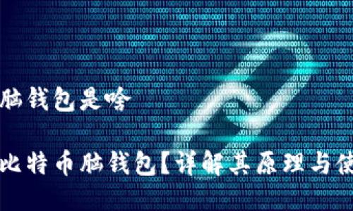 比特币脑钱包是啥

什么是比特币脑钱包？详解其原理与使用方法