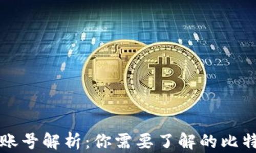
比特币账号解析：你需要了解的比特币钱包