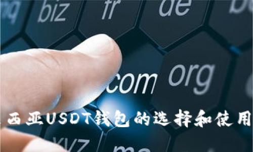 马来西亚USDT钱包的选择和使用指南