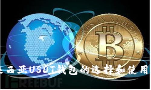 马来西亚USDT钱包的选择和使用指南