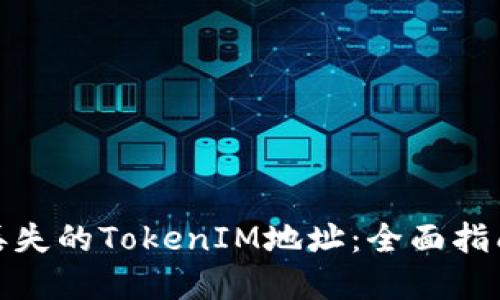 : 如何找回丢失的TokenIM地址：全面指南与解决方案
