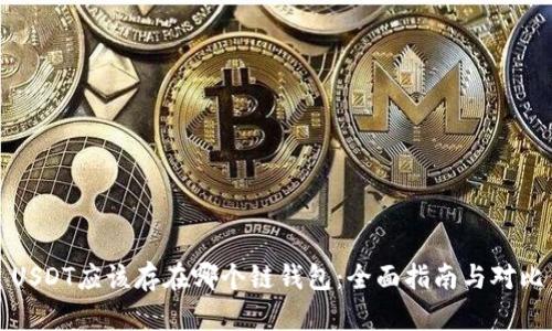 USDT应该存在哪个链钱包：全面指南与对比