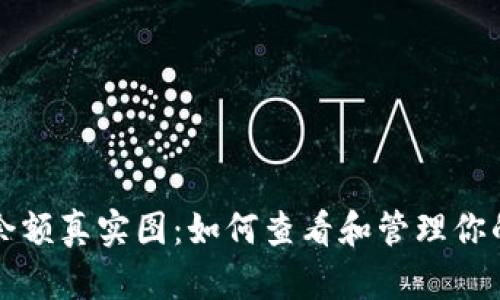 USDT钱包余额真实图：如何查看和管理你的USDT资产