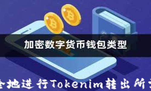 
如何安全地进行Tokenim转出所需的授权