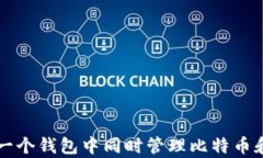 如何在一个钱包中同时管