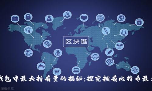 比特币钱包中最大持有量的揭秘：探究拥有比特币最多的钱包
