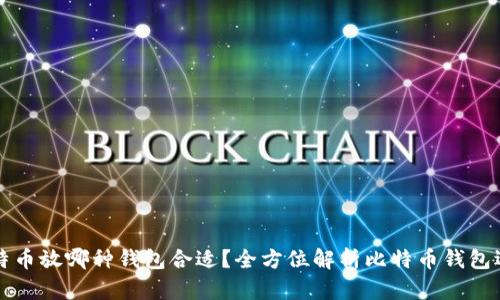 买了比特币放哪种钱包合适?全方位解析比特币钱包选择指南
