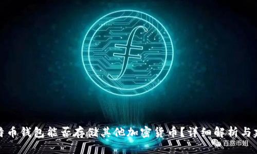 比特币钱包能否存储其他加密货币？详细解析与建议