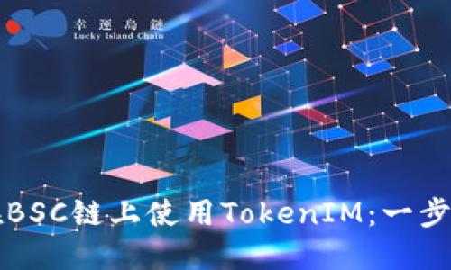 如何在BSC链上使用TokenIM：一步步指南