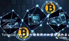 : Tokenim Doge：深入解析新兴加密货币的未来