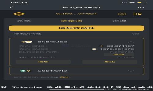 提币到 Tokenim 选择哪个区块链链？详细攻略与建议